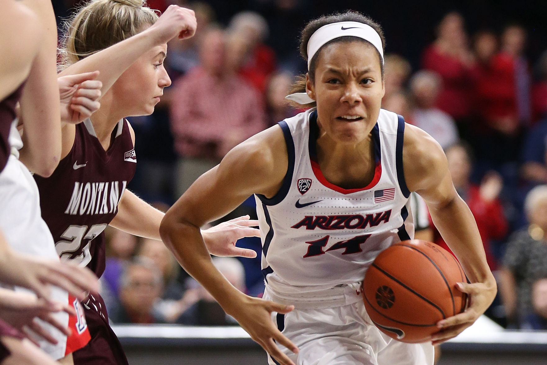 Arizona Wildcats 100, Montana Grizzlies 51